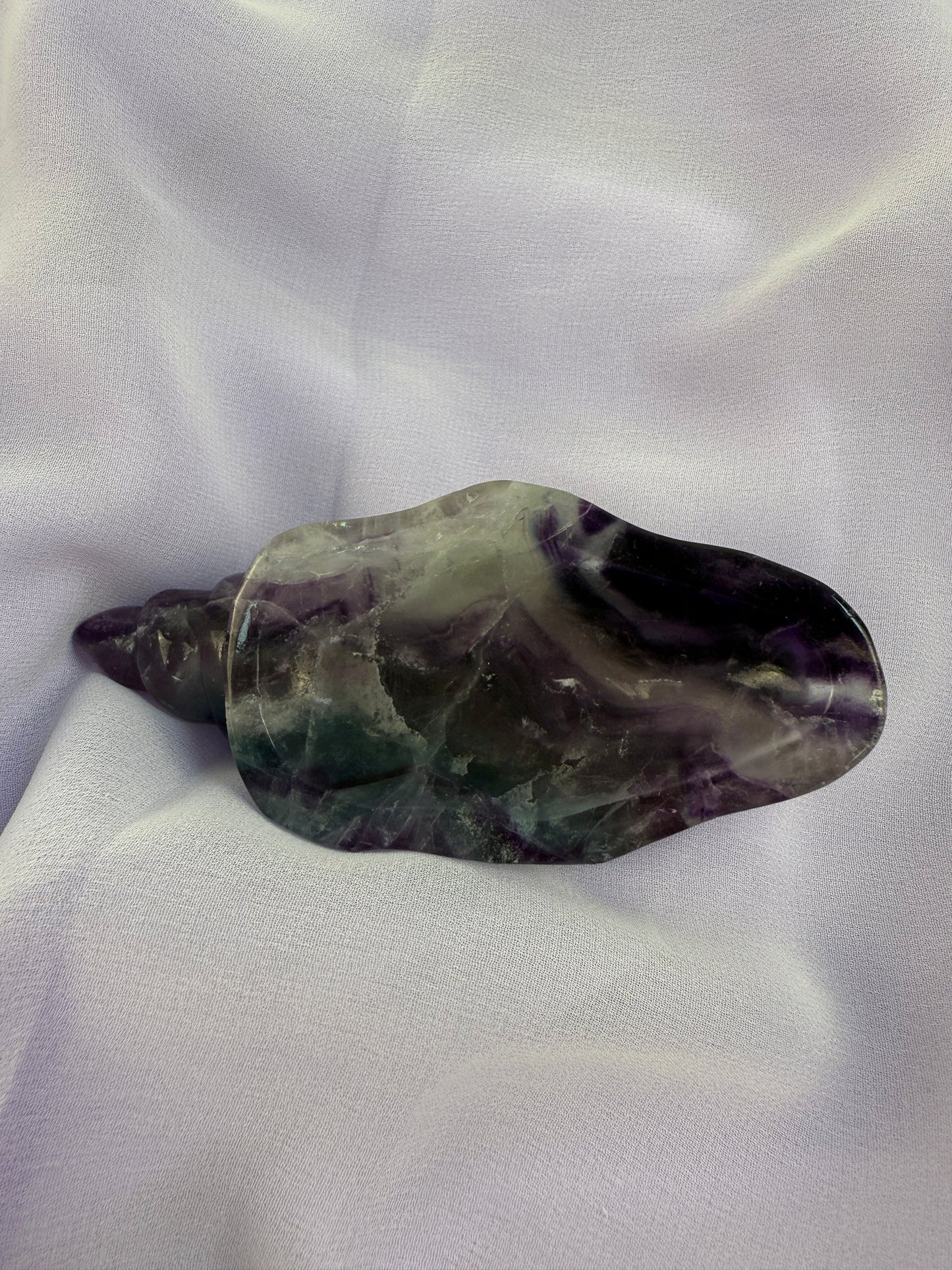 Rainbow Fluorite Conch Shell #5