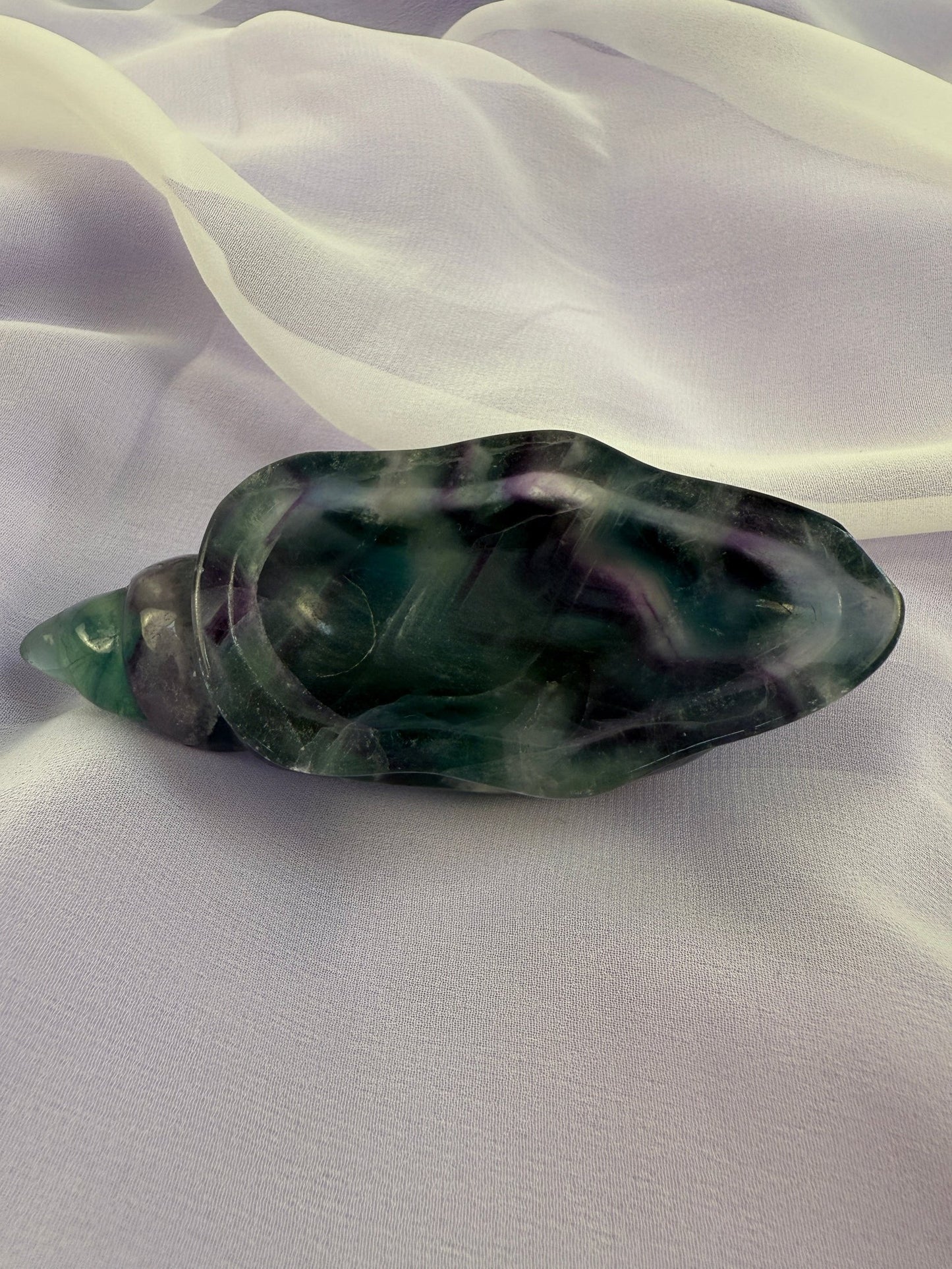 Rainbow Fluorite Conch Shell #2