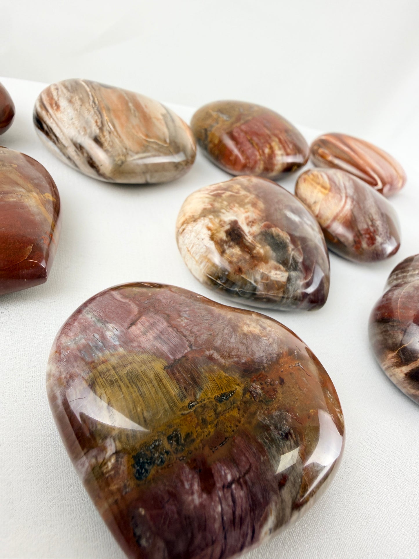 Petrified Wood Heart