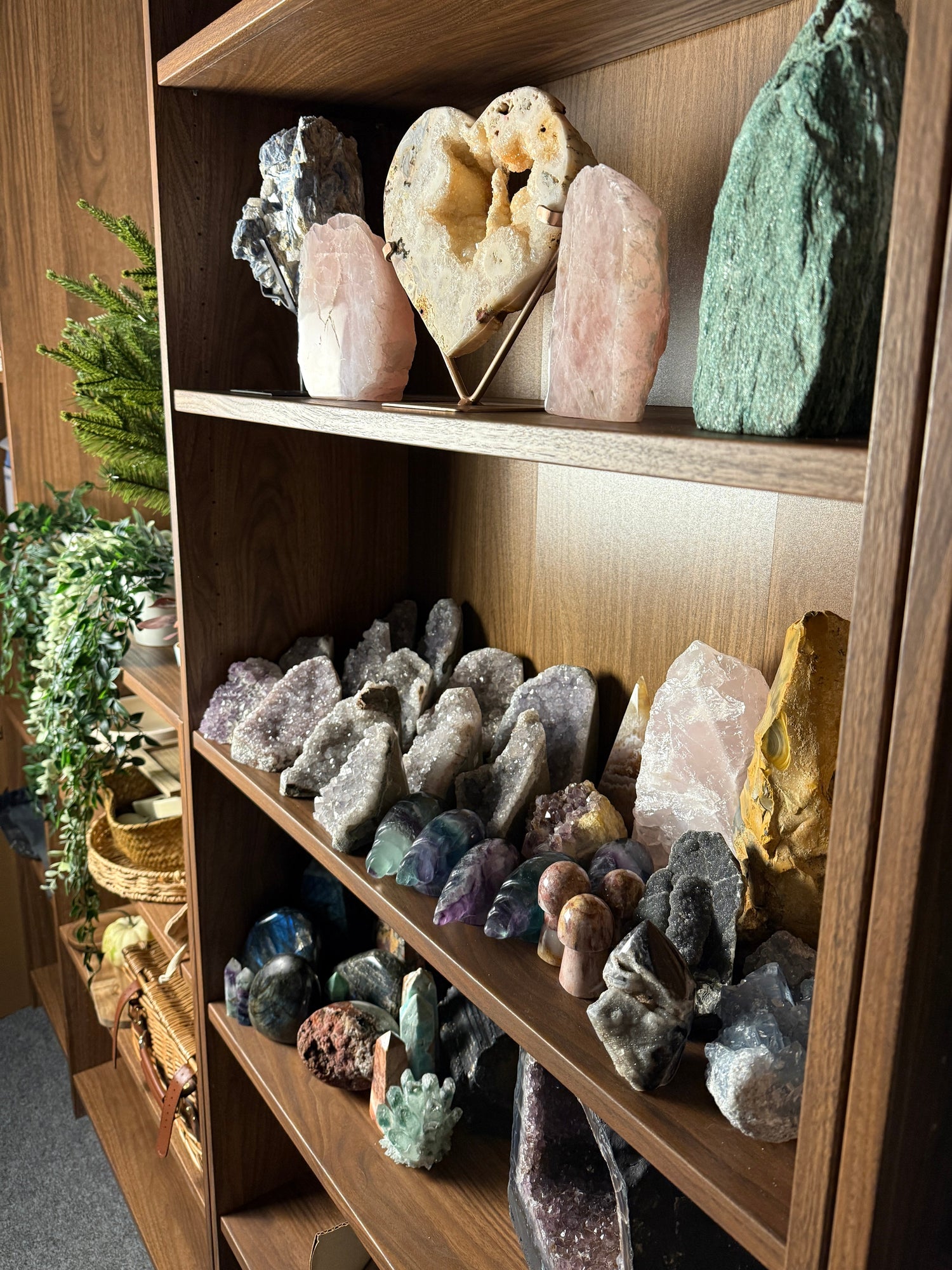All Products