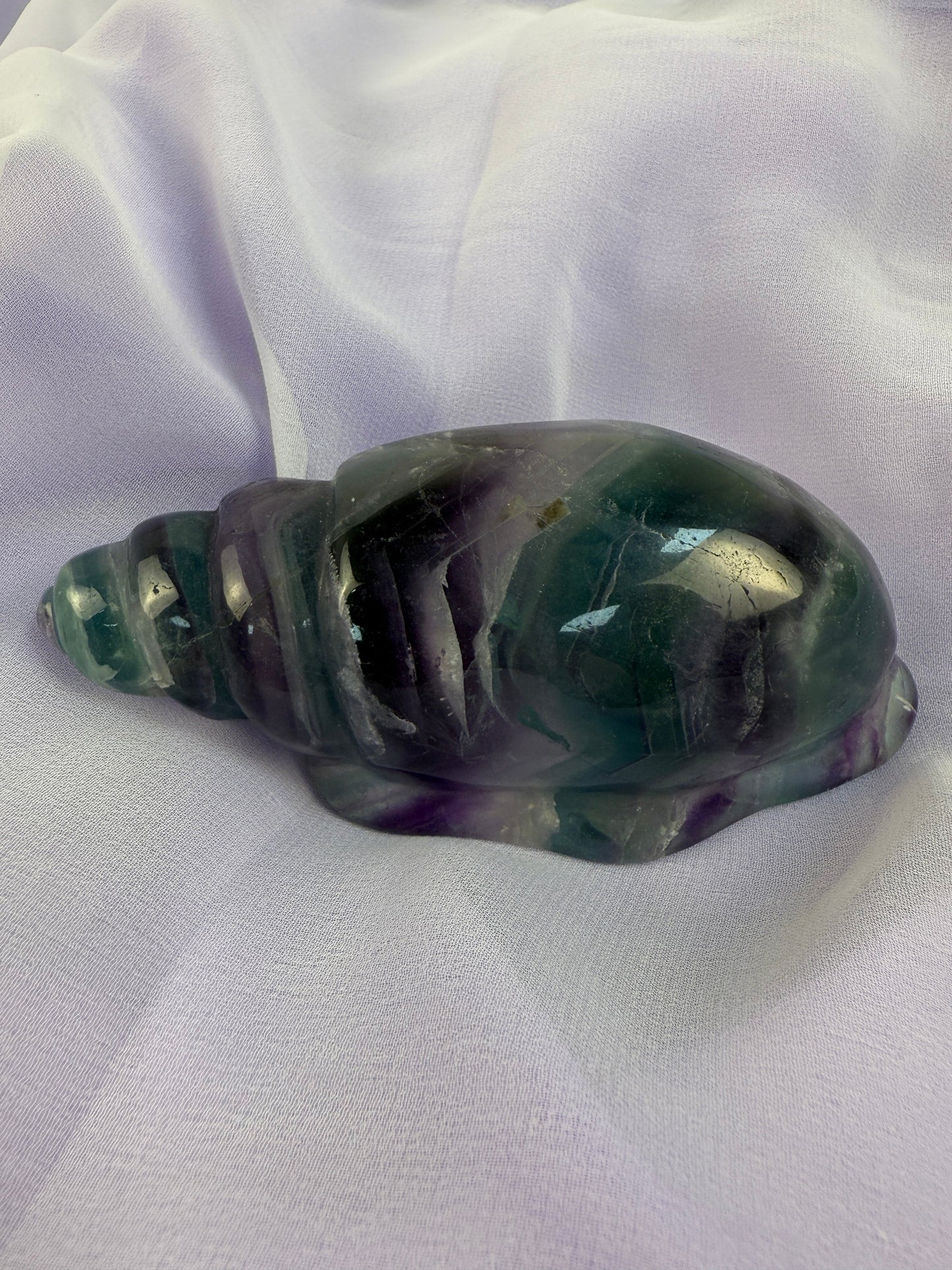 Rainbow Fluorite Conch Shell #4