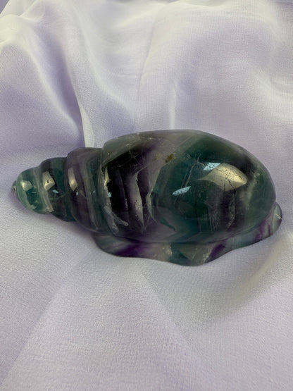 Rainbow Fluorite Conch Shell #4