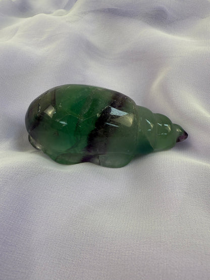 Rainbow Fluorite Conch Shell #3