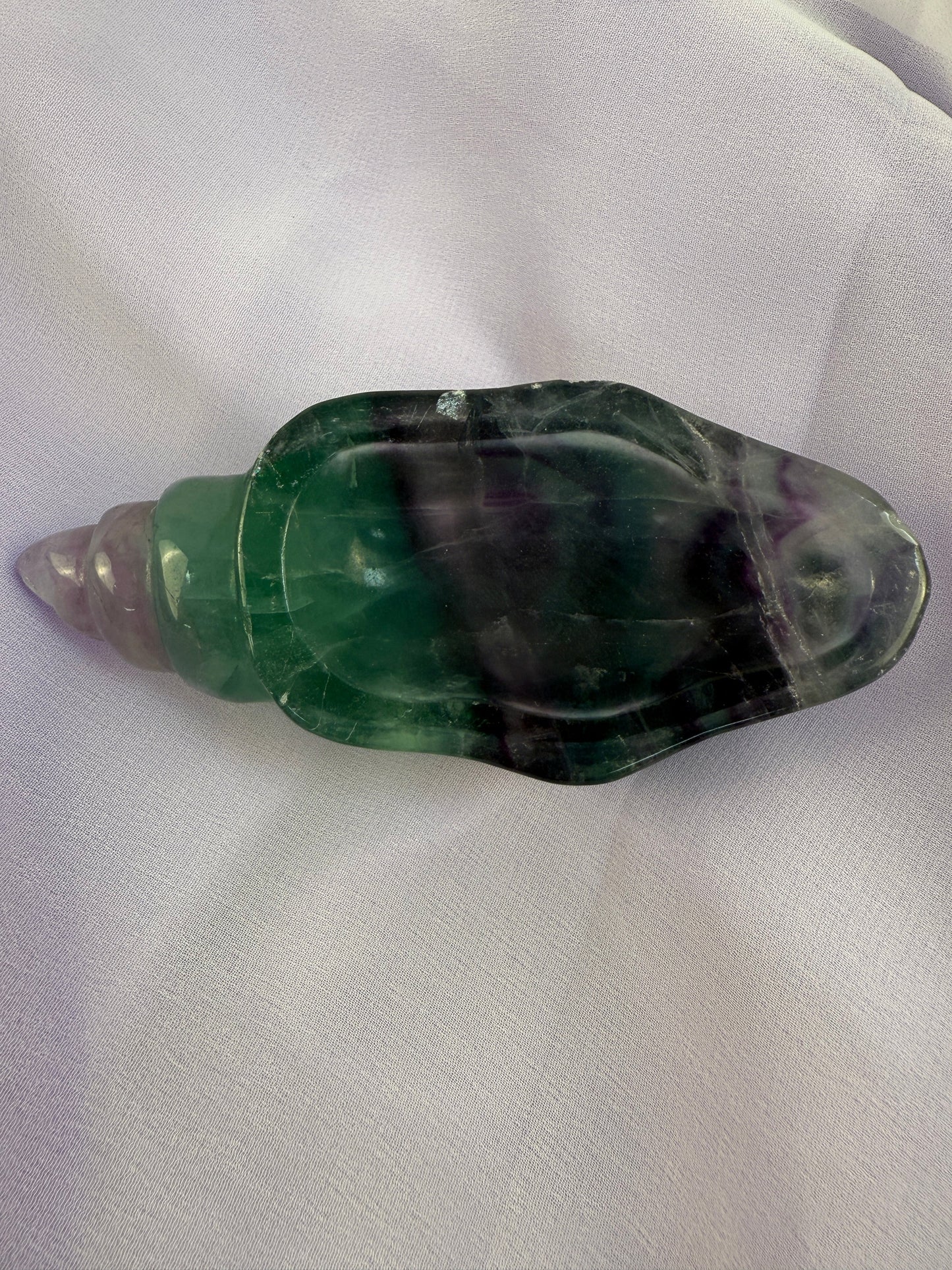 Rainbow Fluorite Conch Shell #6