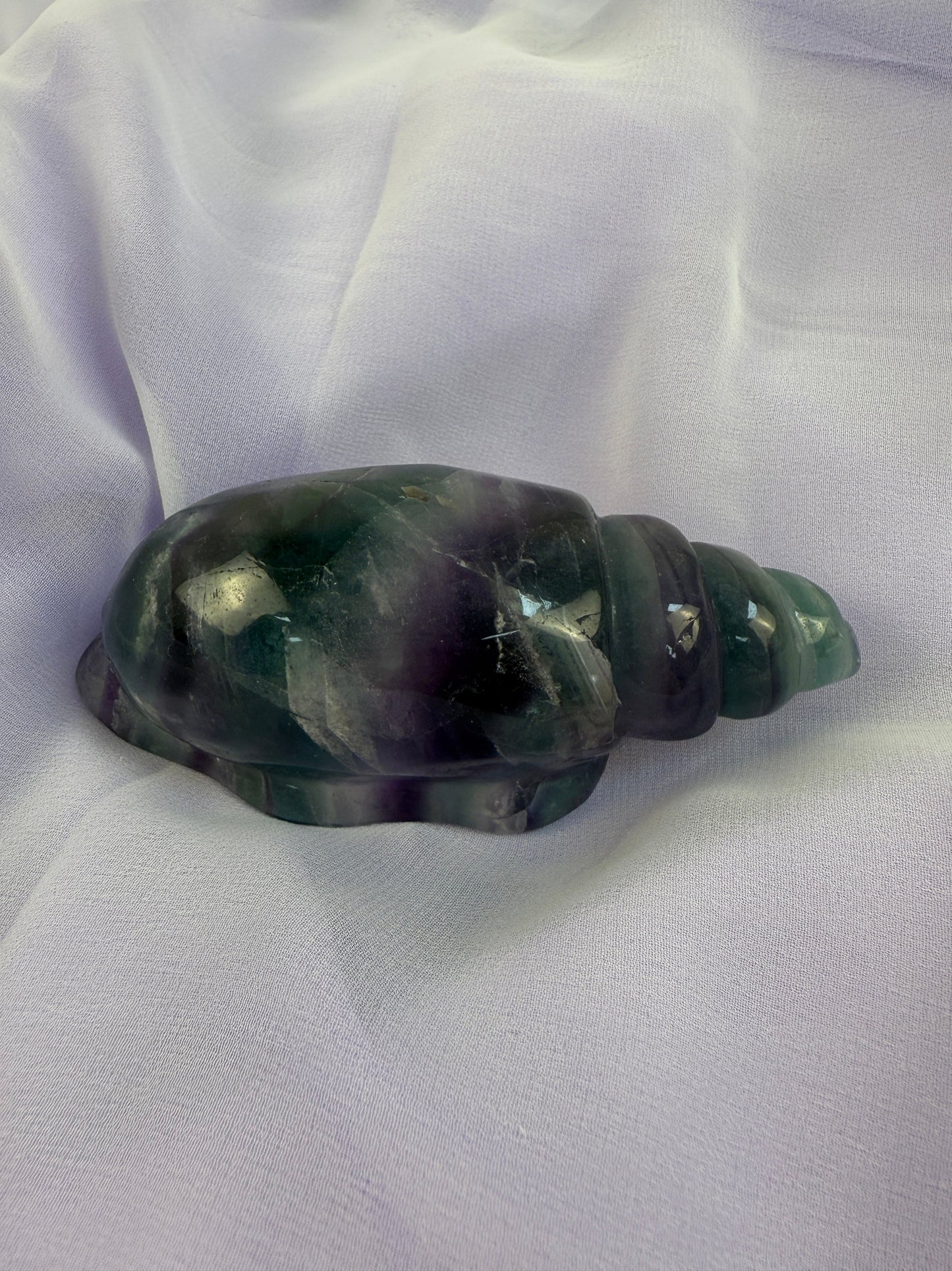 Rainbow Fluorite Conch Shell #4