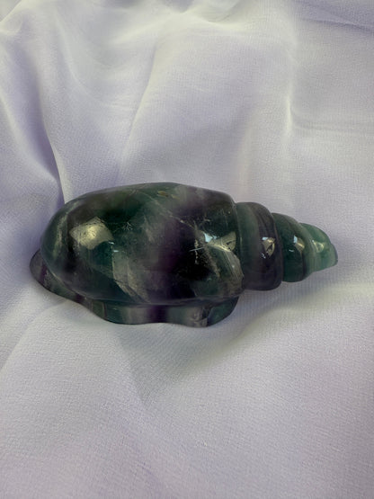 Rainbow Fluorite Conch Shell #4