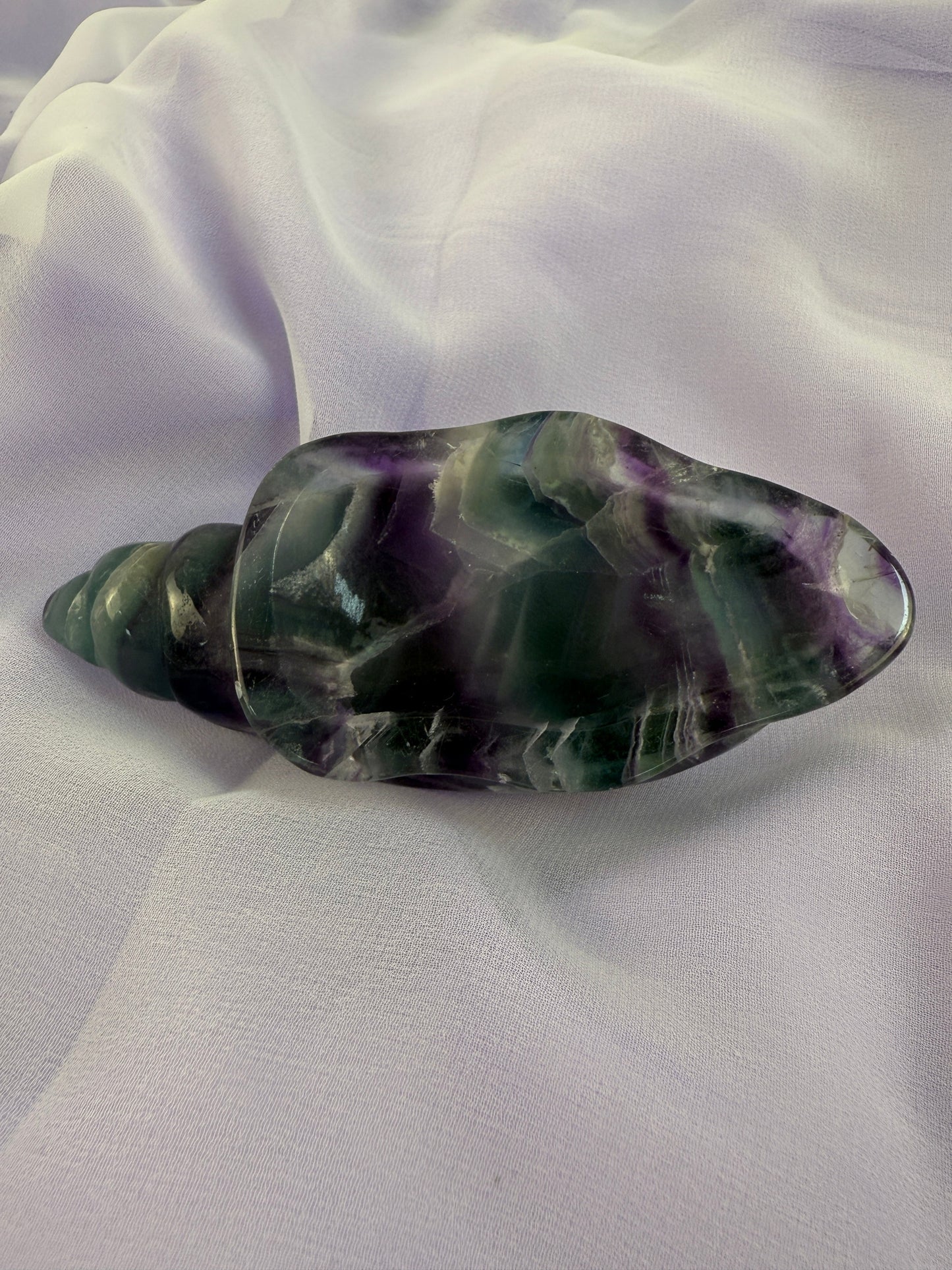 Rainbow Fluorite Conch Shell #4
