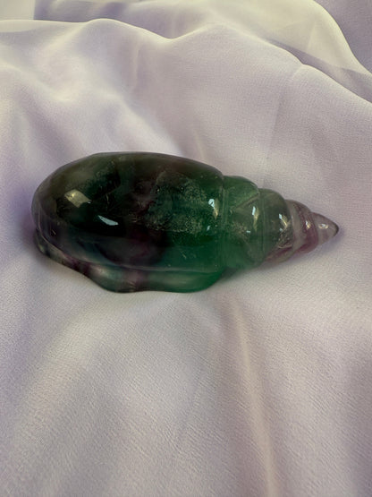 Rainbow Fluorite Conch Shell #6