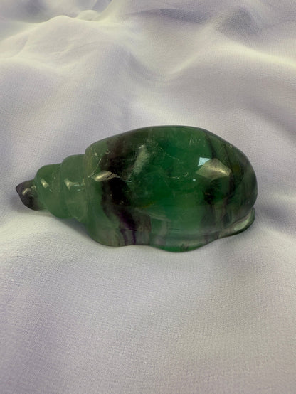 Rainbow Fluorite Conch Shell #3