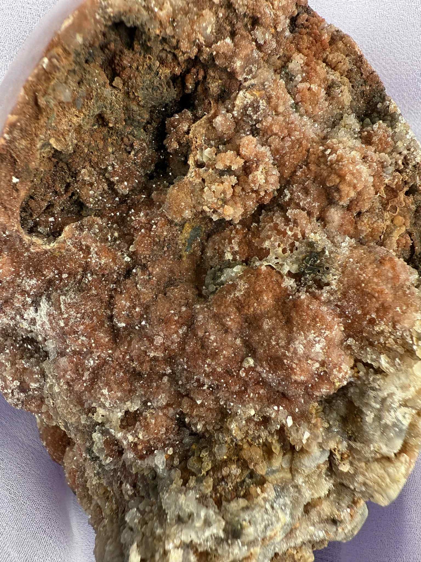 Red Chalcedony Druzy Egg