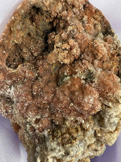 Red Chalcedony Druzy Egg