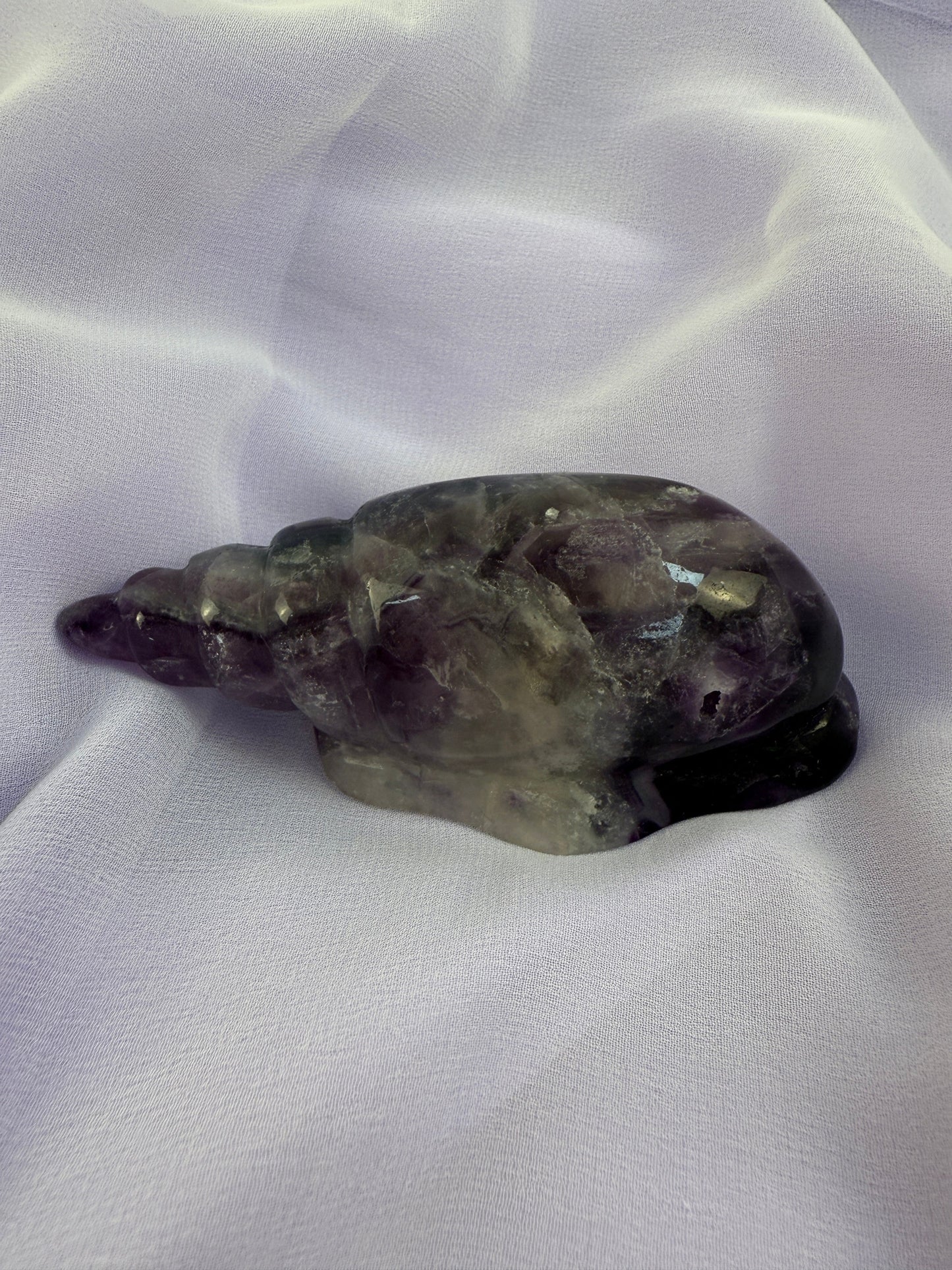 Rainbow Fluorite Conch Shell #5