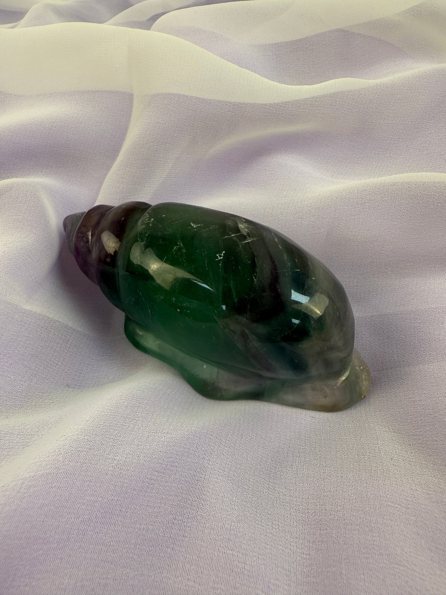 Rainbow Fluorite Conch Shell #1