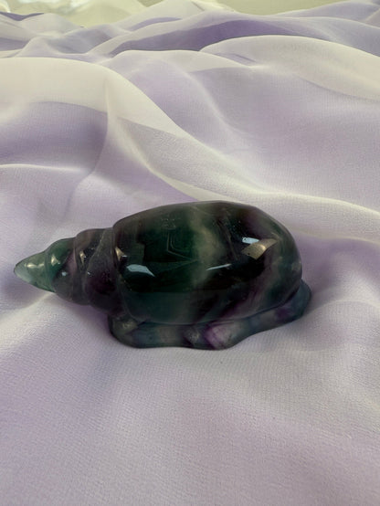 Rainbow Fluorite Conch Shell #2
