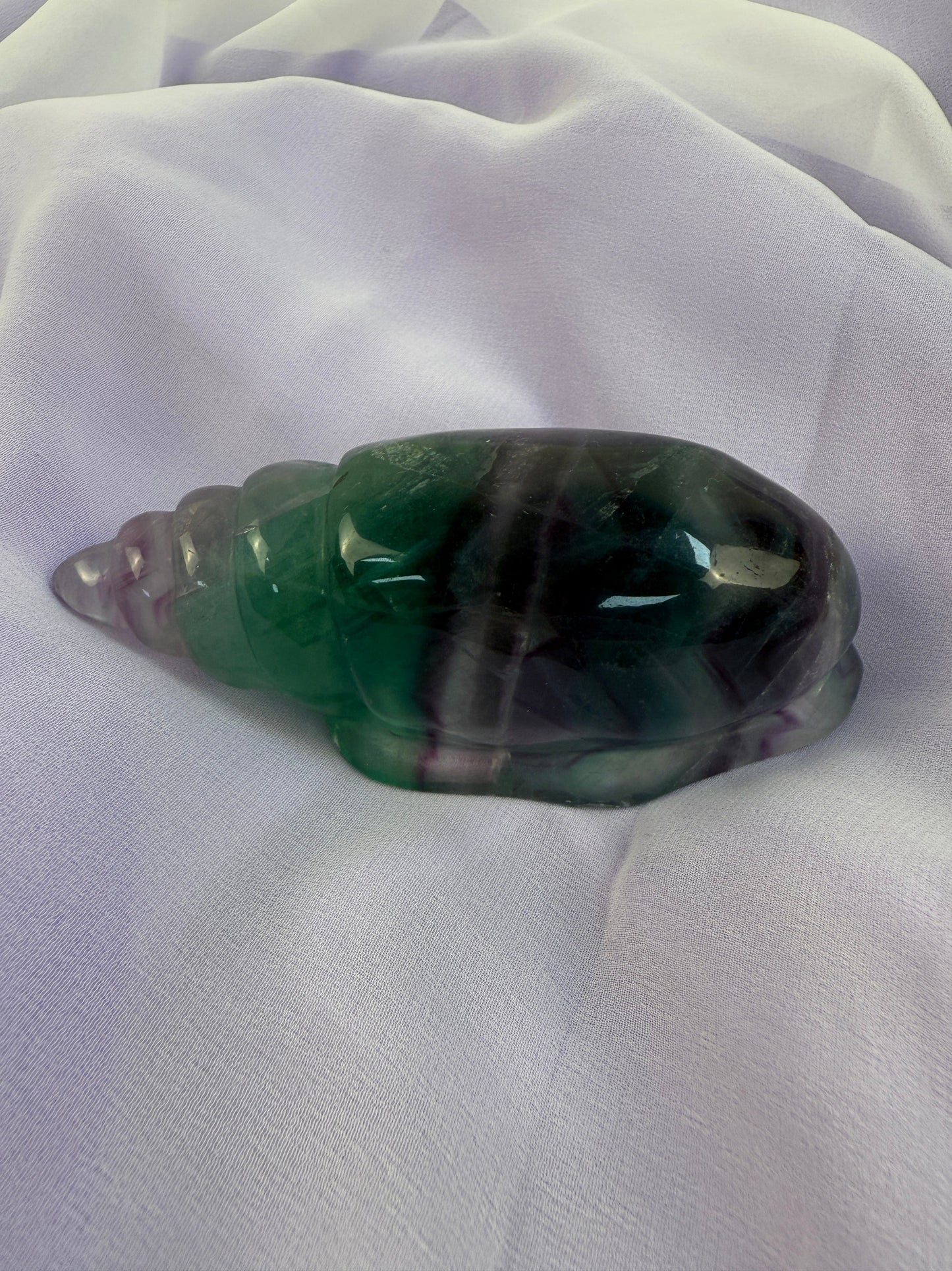 Rainbow Fluorite Conch Shell #6