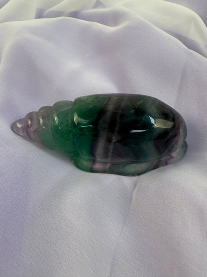 Rainbow Fluorite Conch Shell #6