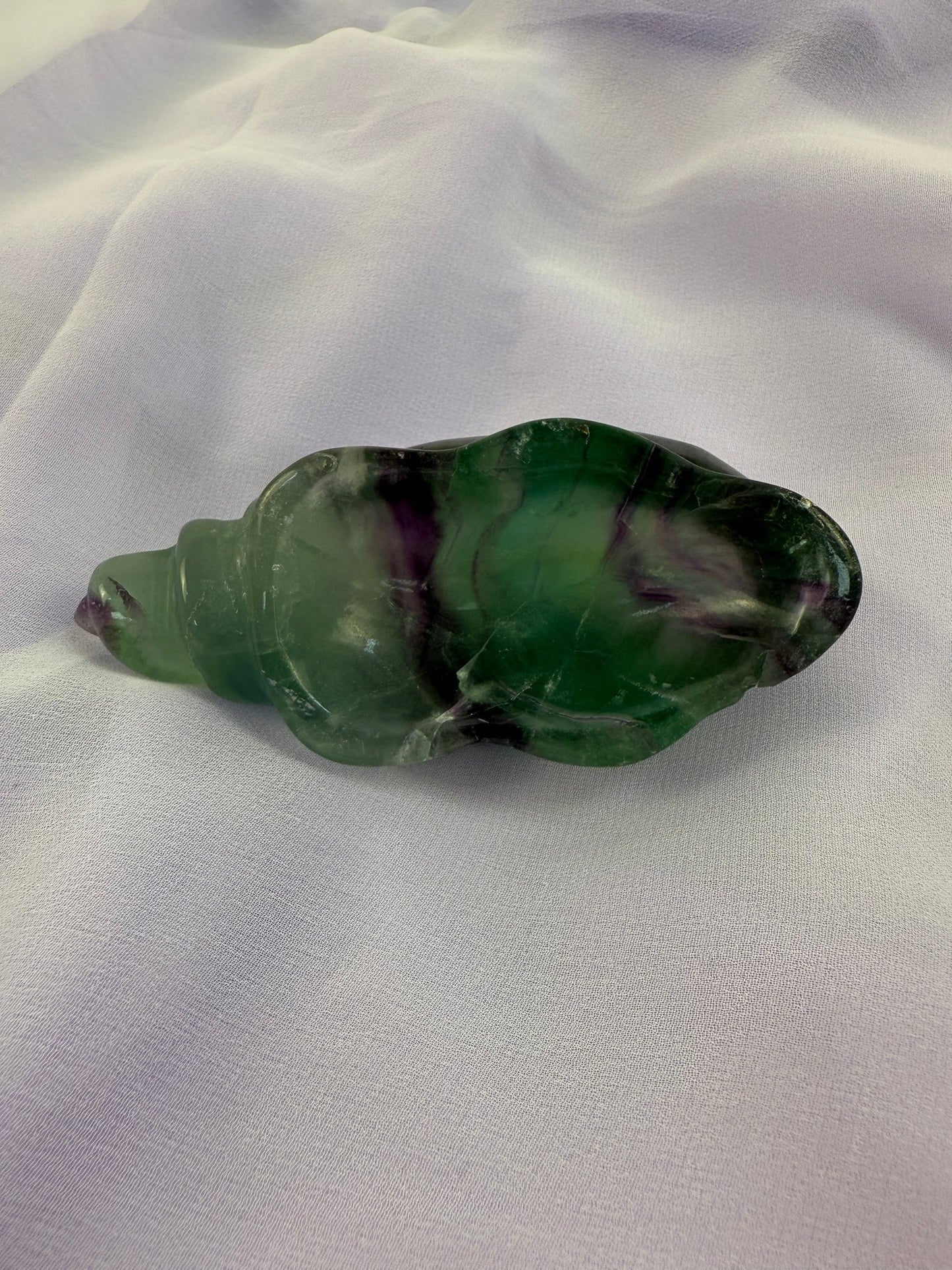 Rainbow Fluorite Conch Shell #3
