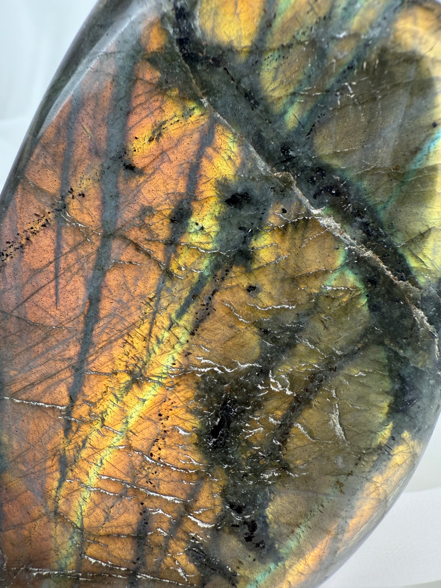 Labradorite Freeform #5