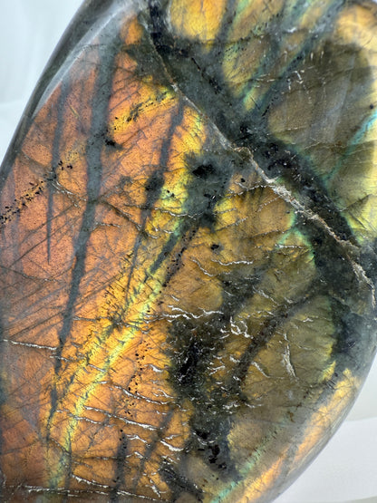 Labradorite Freeform #5