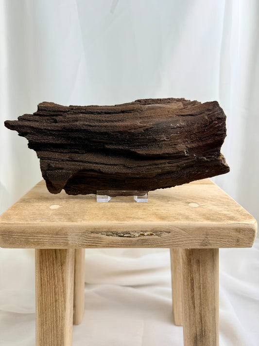 Natural Permineralised Fossil Druzy Wood - 1.60KG - Leipzig, Germany