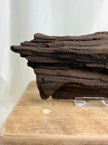 Natural Permineralised Fossil Druzy Wood - 1.60KG - Leipzig, Germany