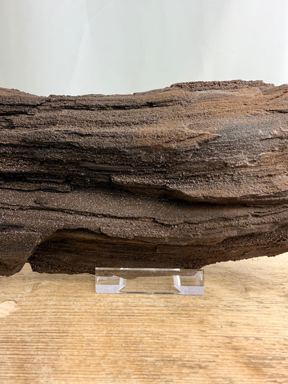 Natural Permineralised Fossil Druzy Wood - 1.60KG - Leipzig, Germany