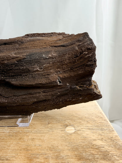 Natural Permineralised Fossil Druzy Wood - 1.60KG - Leipzig, Germany
