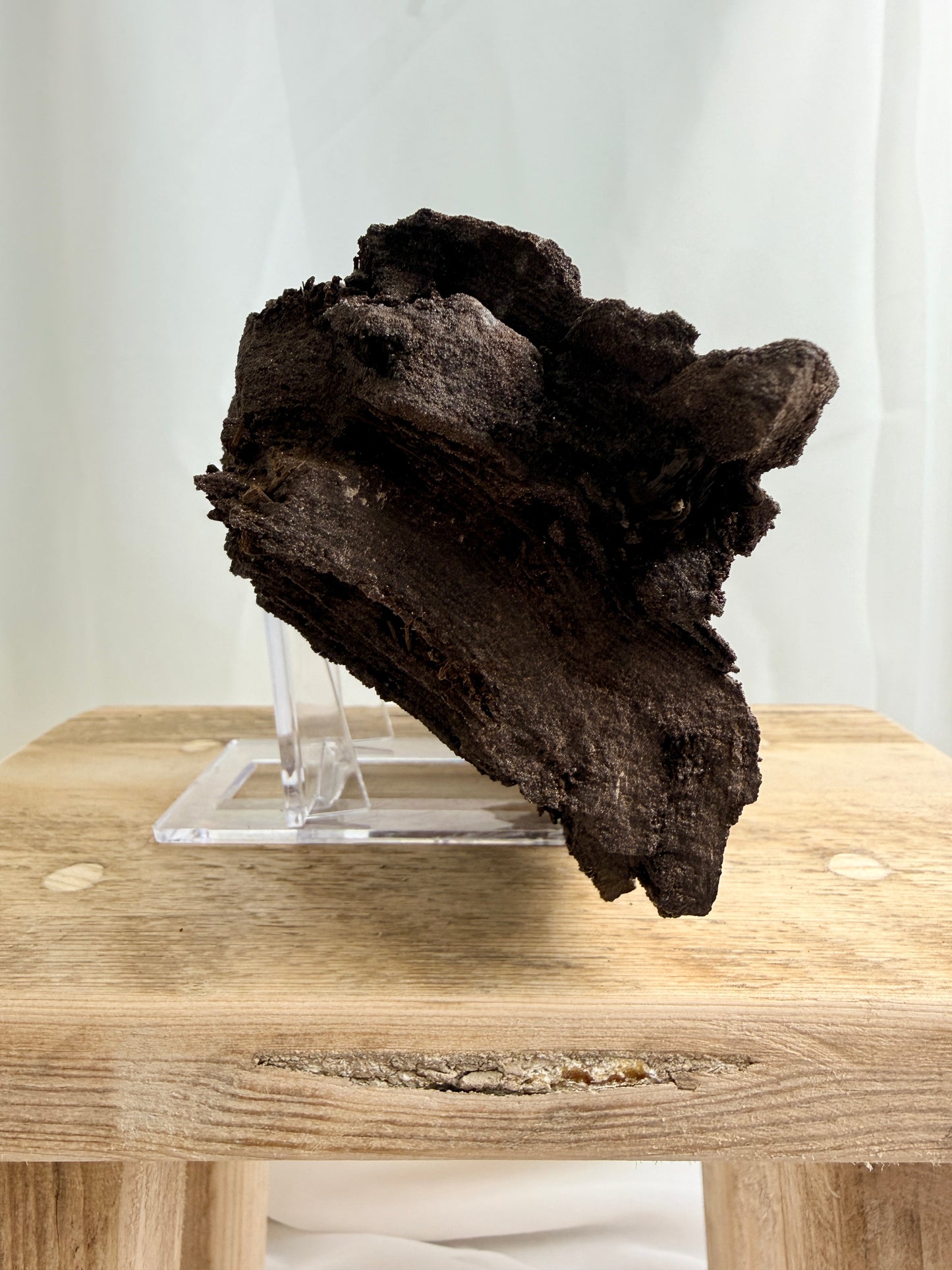 Natural Permineralised Fossil Druzy Wood - 1.60KG - Leipzig, Germany