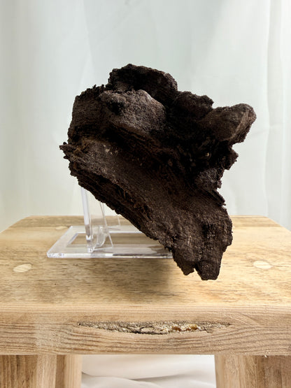 Natural Permineralised Fossil Druzy Wood - 1.60KG - Leipzig, Germany