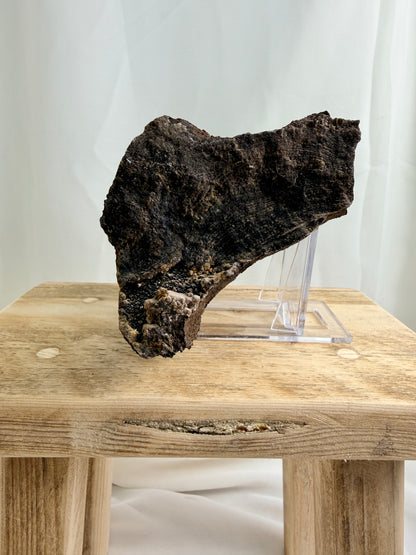 Natural Permineralised Fossil Druzy Wood - 1.60KG - Leipzig, Germany
