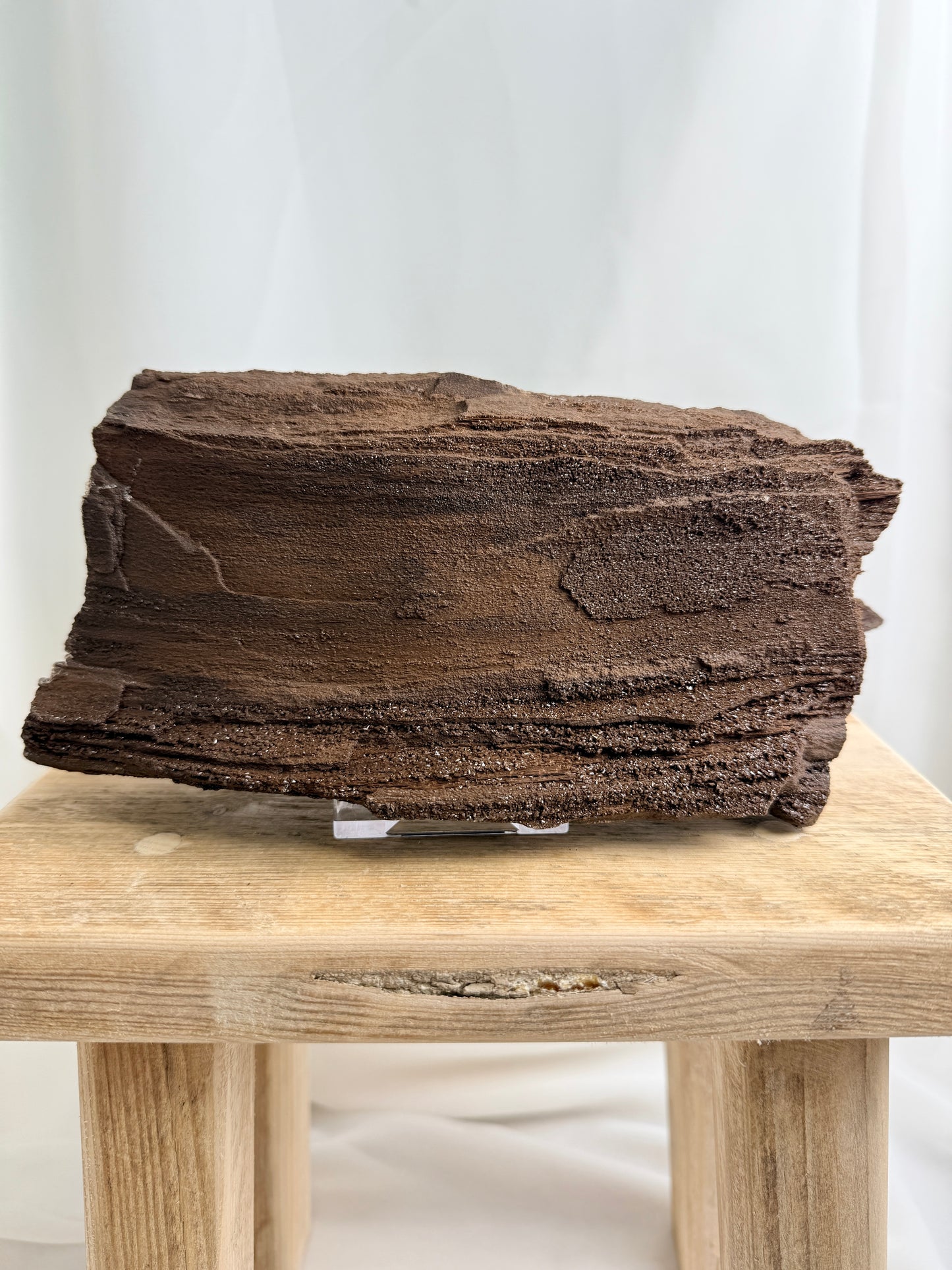 Natural Permineralised Fossil Druzy Wood - 1.60KG - Leipzig, Germany