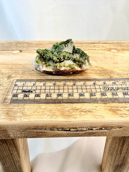 Small Natural Forest Epidote - Morocco - 86g (#3)