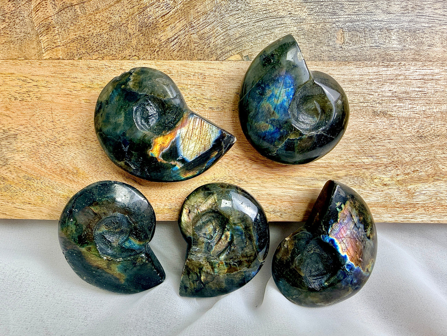 Labradorite Ammonite - Madagascar - (Randomly Chosen)