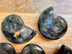 Labradorite Ammonite