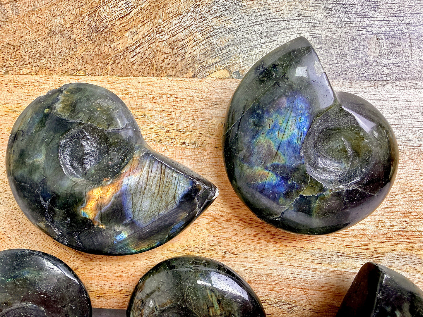 Labradorite Ammonite - Madagascar - (Randomly Chosen)