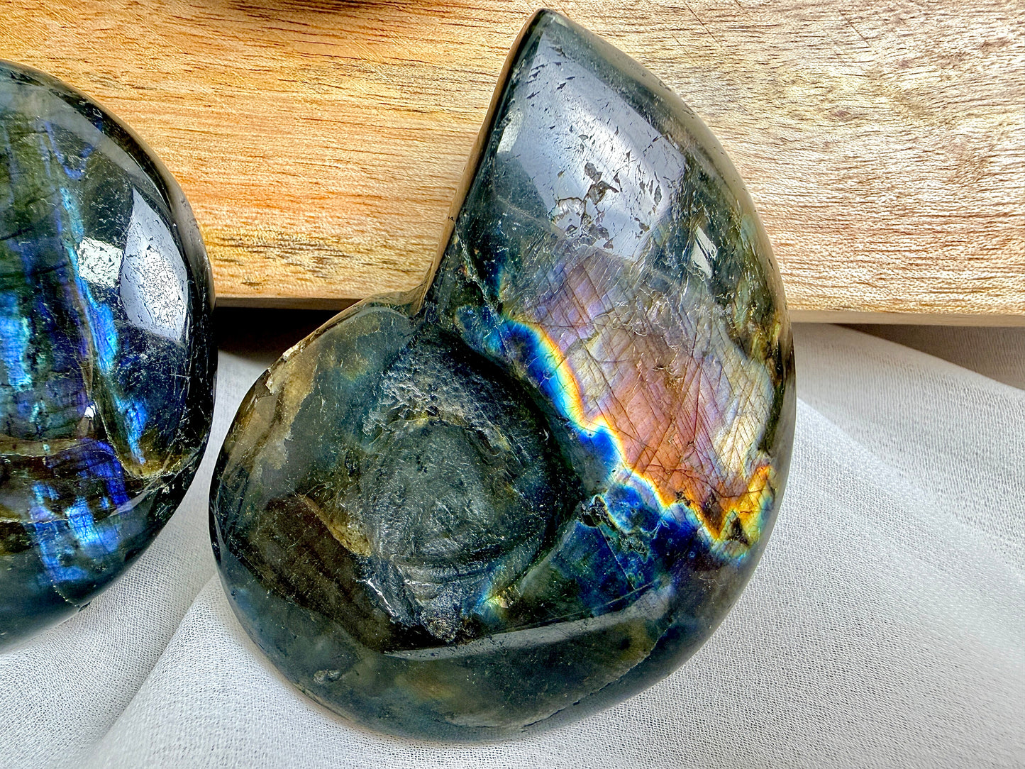 Labradorite Ammonite - Madagascar - (Randomly Chosen)