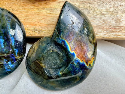 Labradorite Ammonite - Madagascar - (Randomly Chosen)