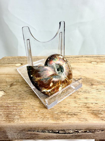 Naturally Iridescent Ammonite Fossil - Madagascar - 71g (#2)
