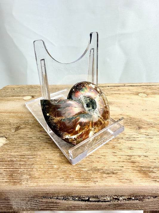 Naturally Iridescent Ammonite Fossil - Madagascar - 71g (#2)
