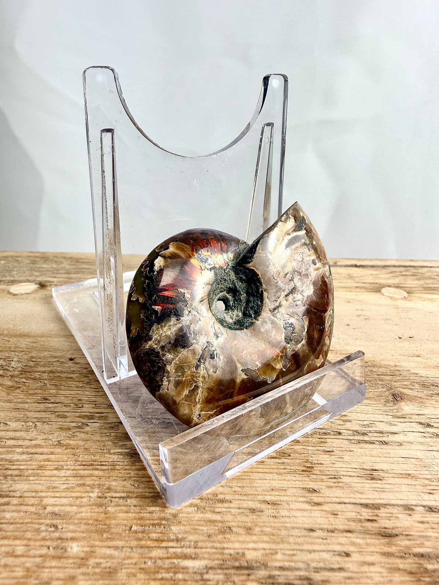 Naturally Iridescent Ammonite Fossil - Madagascar - 71g (#2)
