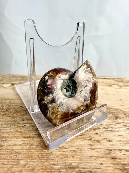 Naturally Iridescent Ammonite Fossil - Madagascar - 71g (#2)