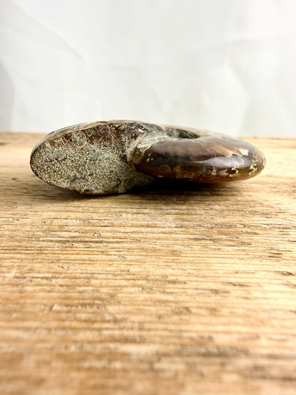 Naturally Iridescent Ammonite Fossil - Madagascar - 71g (#2)