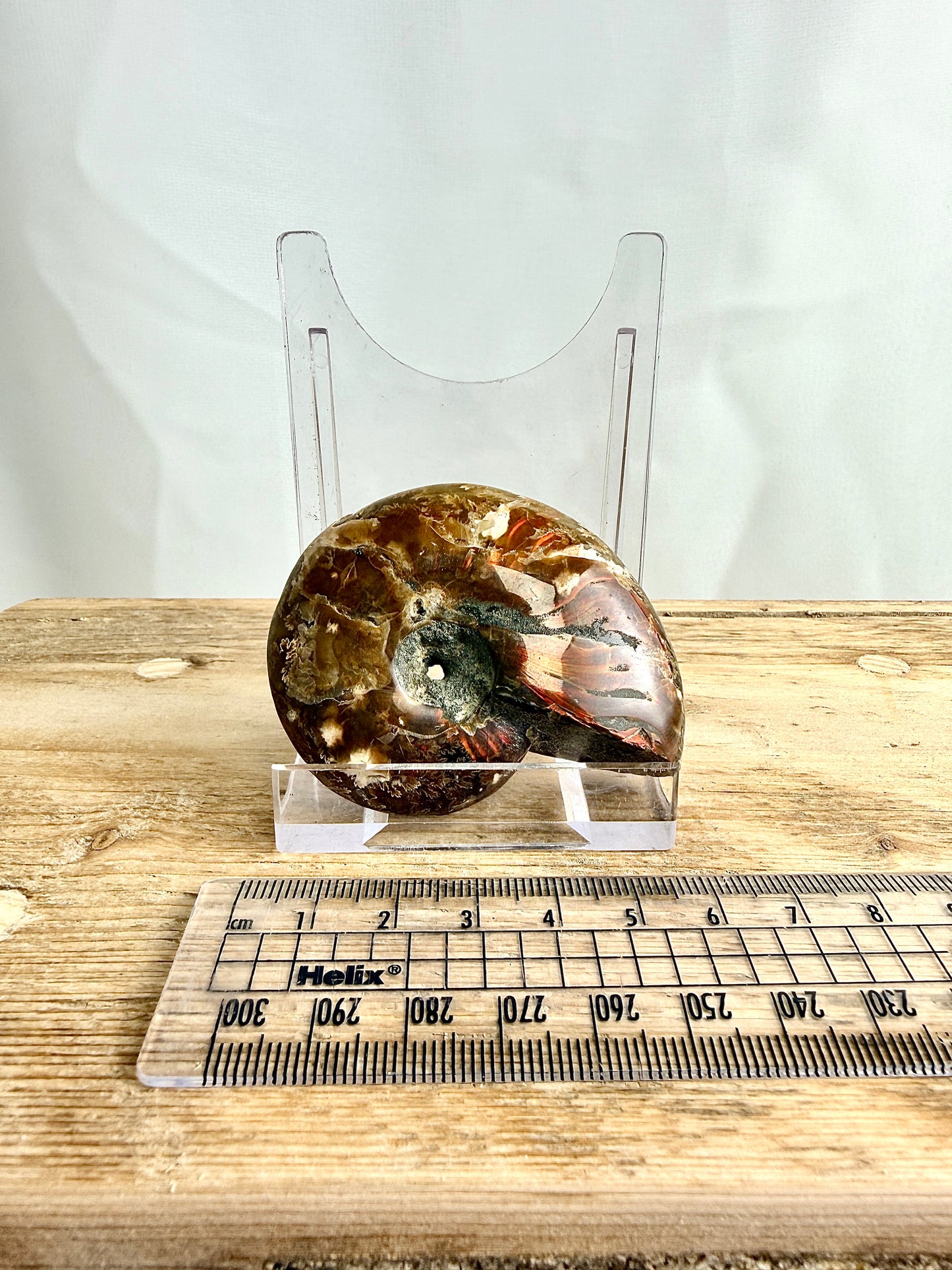 Naturally Iridescent Ammonite Fossil - Madagascar - 71g (#2)