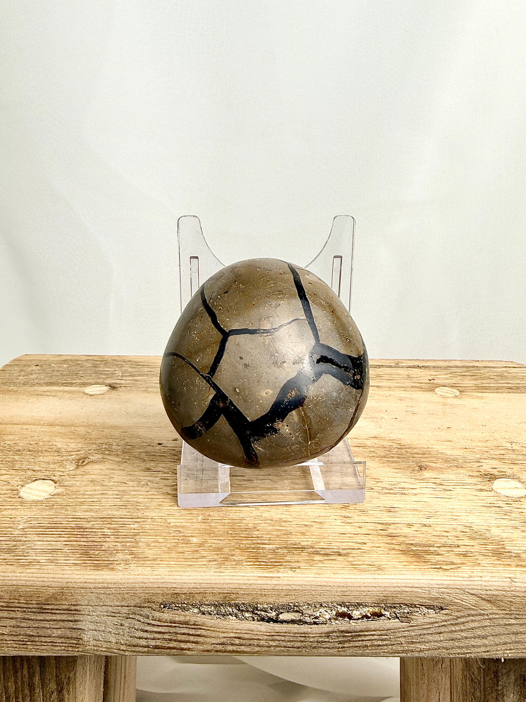 Black Septarian Geode (#1)