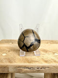 Black Septarian Geode (#1)