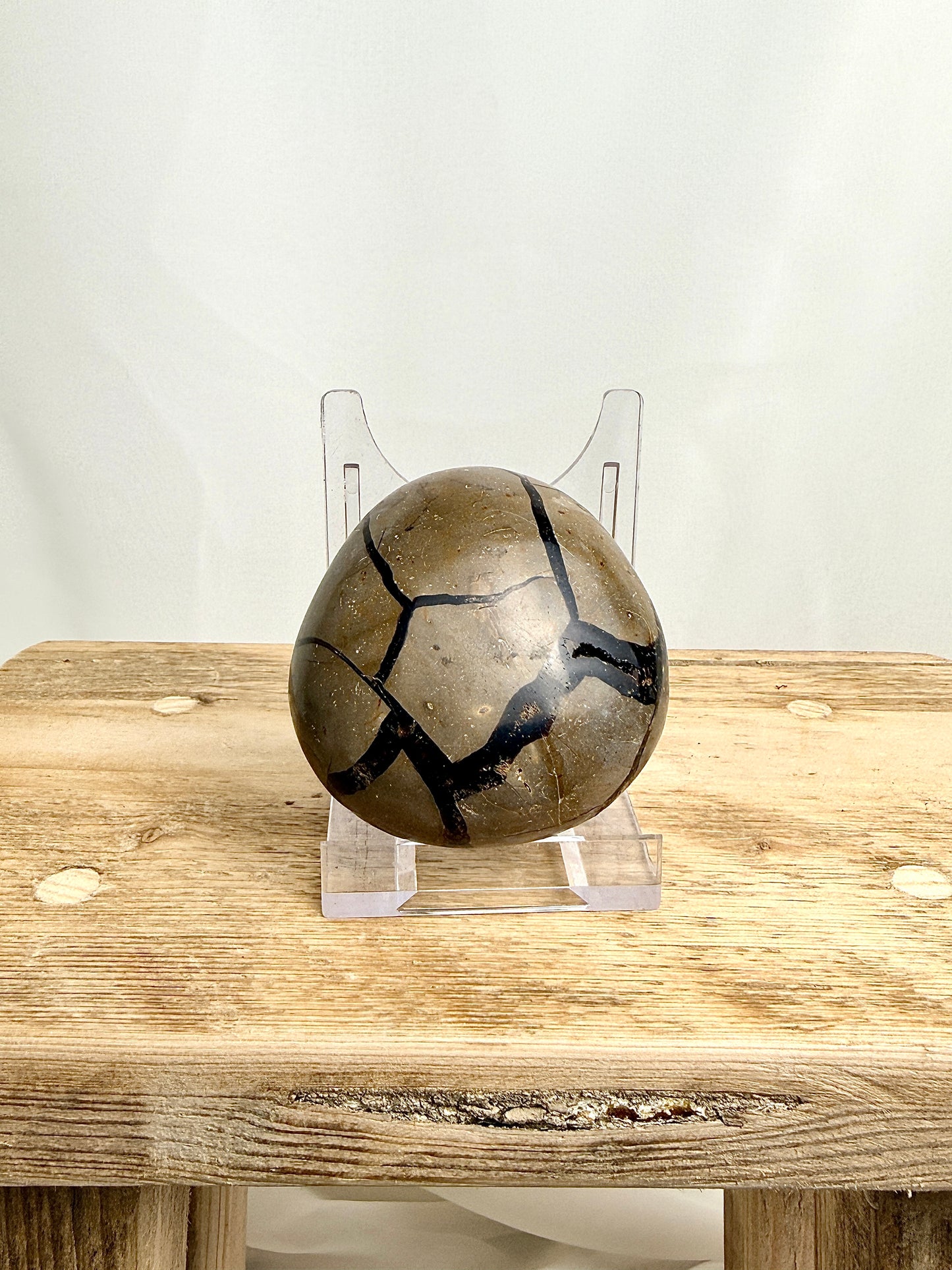 Black Septarian Geode - Madagascar - 0.14kg (#1)