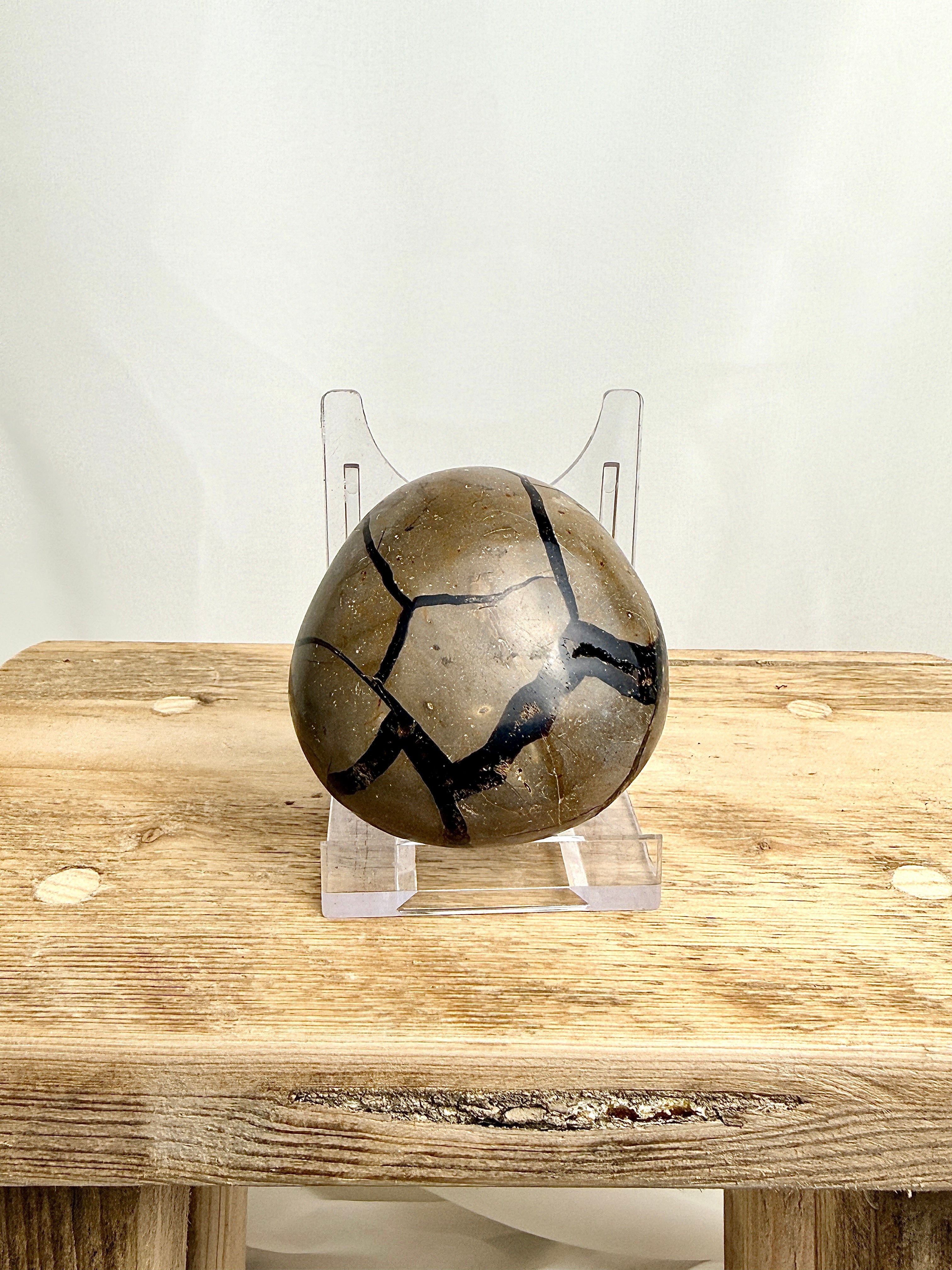 Black Septarian Geode (#1)