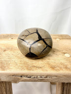 Black Septarian Geode (#2)
