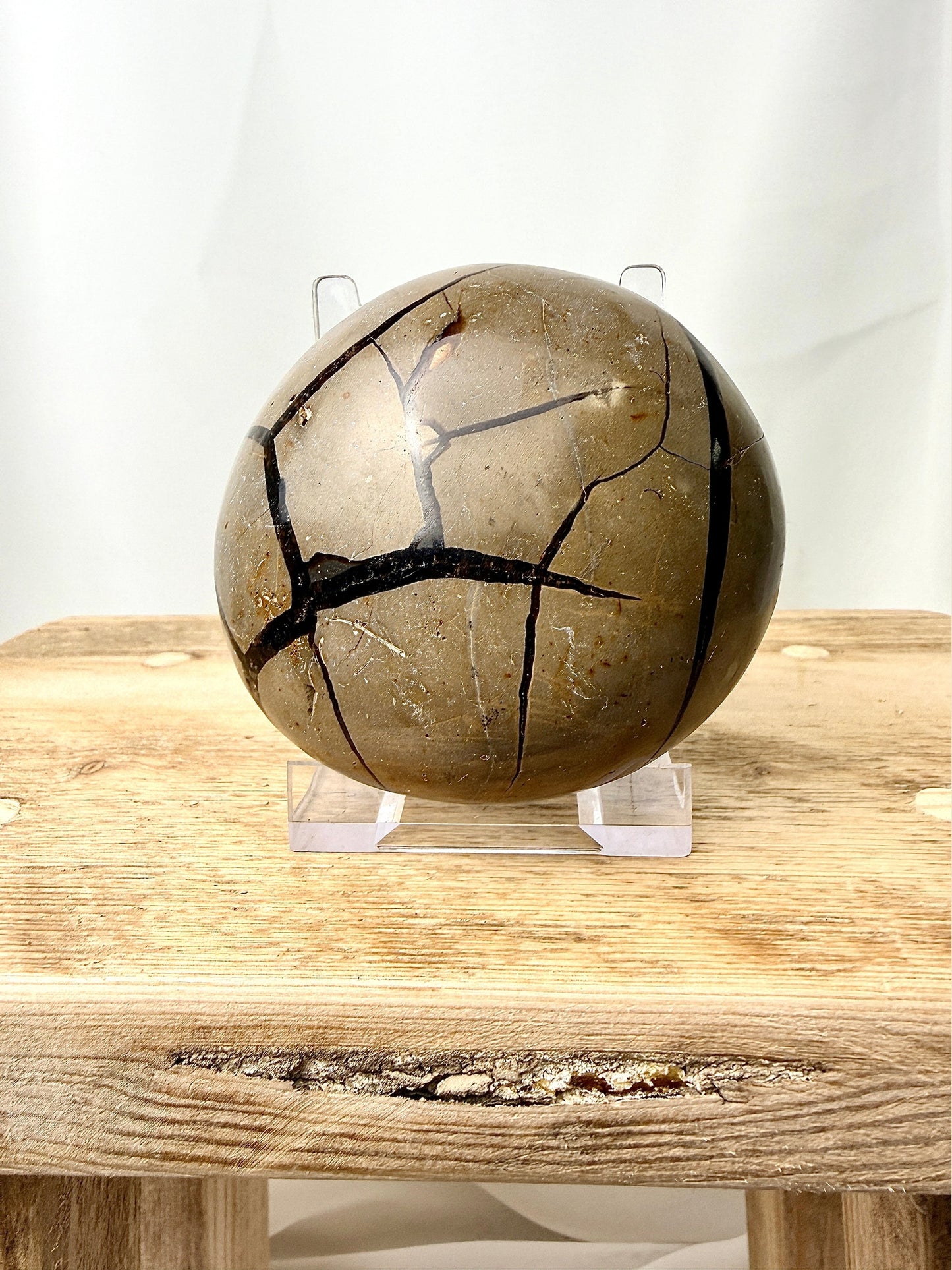 Black Septarian Geode - Madagascar - 0.29kg (#2)