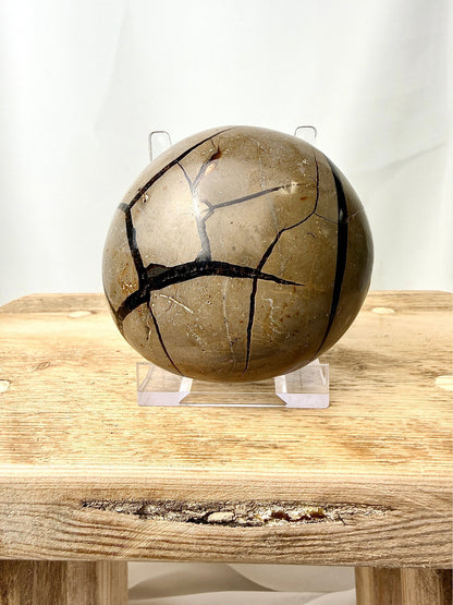 Black Septarian Geode - Madagascar - 0.29kg (#2)
